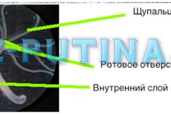 Кракен 2krn